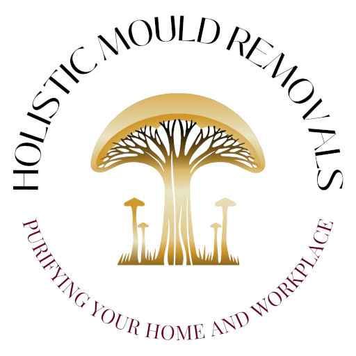 Holistic Mould Removals