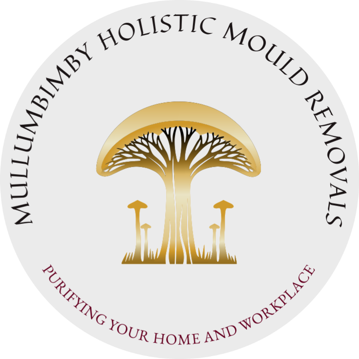 Mullumbimby Holistic Mould Removals