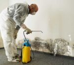 mold-removal
